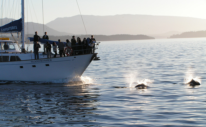 British Columbia coastal boat cruise