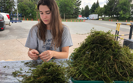 An image of a person cleaning through algea